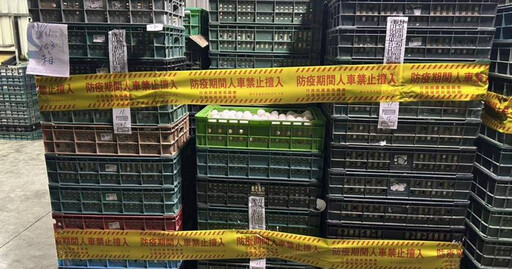 彰化又驗出芬普尼蛋 蛋行負責人被約談20萬交保
