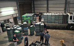 彰化文雅畜牧場爆芬普尼污染 15萬蛋全毀4.9萬雞恐難逃撲殺