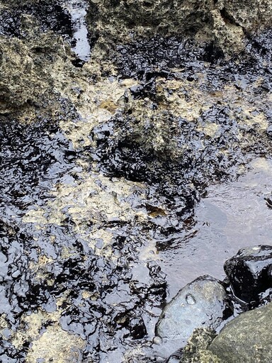 綠島柚子湖驚見大量黑色柏油 環保局：有人蓄意傾倒重油