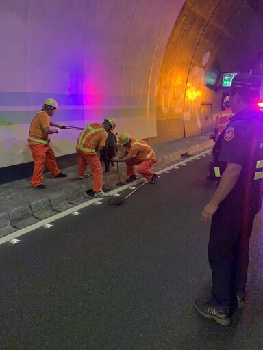 藏身緊急出口！國3中寮隧道驚見「黑豬遊蕩」 掉落這麼大隻…警要罰車主