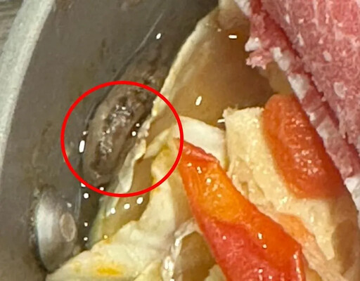 大白菜、花壽司、小火鍋都有「活蛞蝓」！「全世界第一例」在台灣 醫：爬過的蔬菜都有風險