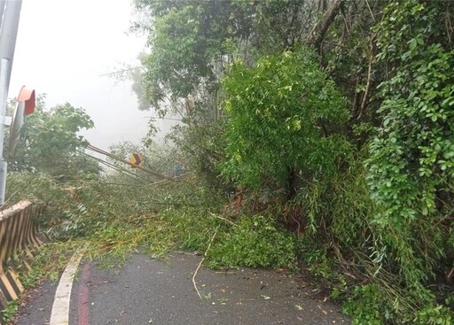 快訊/南橫梅山口路段邊坡坍方！「雙向道路阻斷」 禁止通行