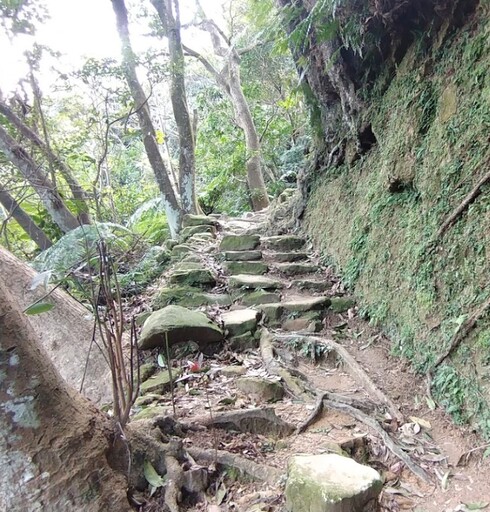 快訊/北市內湖內溝山步道「測量員遭蜂群攻擊」！臉脖手臂螫傷送醫