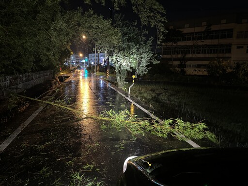 快訊/凱米強襲樹倒處處！羅東市區整棟樓大門慘被堵死
