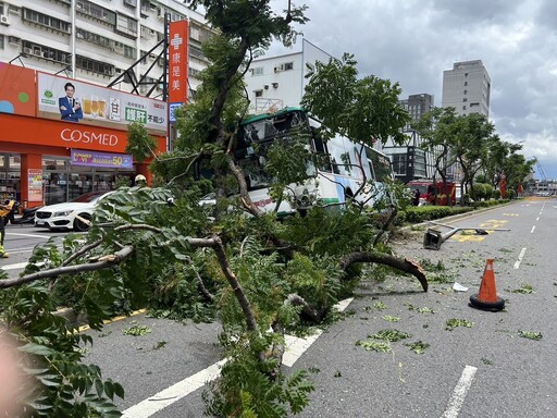 頭暈原因找到了！三重客運衝分隔島害乘客受傷 司機酒測值0.14「昨晚有喝」