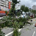 頭暈原因找到了！三重客運衝分隔島害乘客受傷 司機酒測值0.14「昨晚有喝」