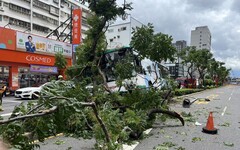 頭暈原因找到了！三重客運衝分隔島害乘客受傷 司機酒測值0.14「昨晚有喝」