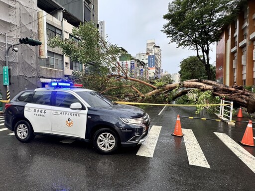 影/雨彈狂轟高雄！路樹連根拔起「壓住1車4人」 驚悚影片曝