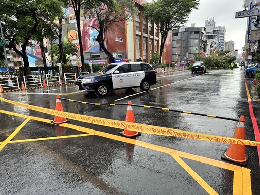 影/雨彈狂轟高雄！路樹連根拔起「壓住1車4人」 驚悚影片曝