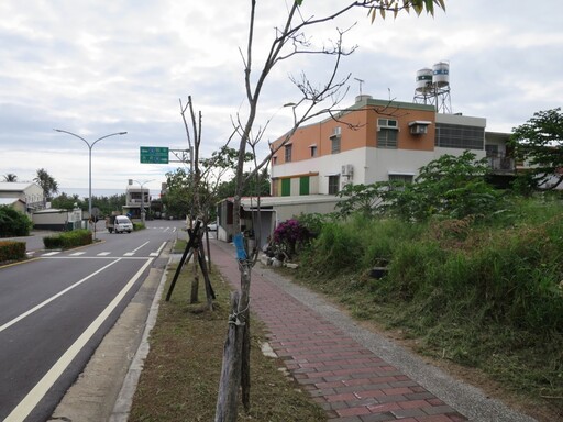 搶便宜動作要快！台東重劃區黃金地法拍 合併拍賣底價出爐