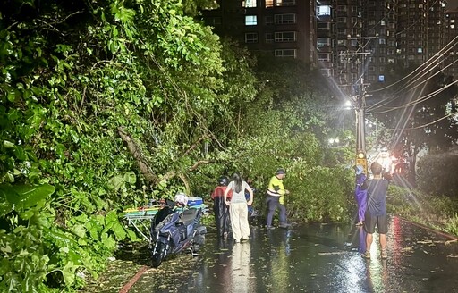 快訊/北部風雨持續淡水路樹倒塌 3女騎士遭砸中受困輕傷送醫