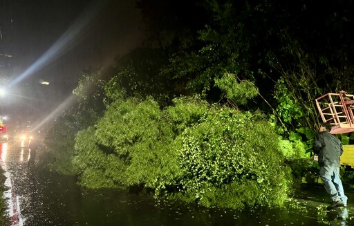 快訊/北部風雨持續淡水路樹倒塌 3女騎士遭砸中受困輕傷送醫