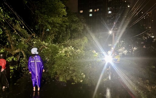 快訊/北部風雨持續淡水路樹倒塌 3女騎士遭砸中受困輕傷送醫