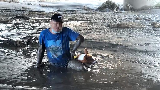 尷尬！台東民眾颱風後遛狗誤陷泥沼 愛犬一臉茫然待救援