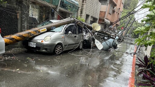 現場慘況曝！新店巨樹倒塌扯斷3電線桿 2轎車遭波及壓毀