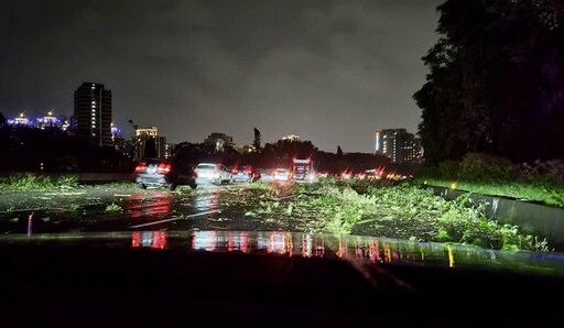 國道3號土城段邊坡路樹倒塌 大量枝葉散落全線暫時封閉