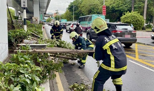 康芮颱風強襲北市超過2千處路樹倒塌 警義消出動2300人次搶救復原