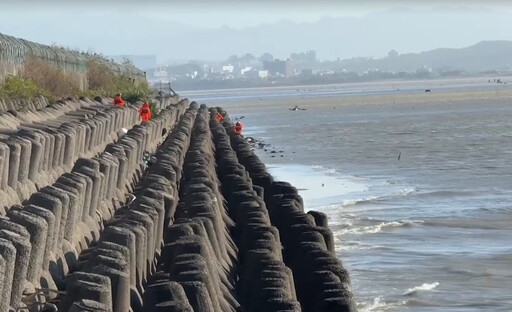 突遇漲潮！新竹老翁挖蛤蜊遭海浪捲走 消防海巡全力搜救中