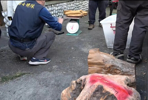 影/假狩獵真盜伐！苗栗保七破獲「一條龍」集團逮7嫌