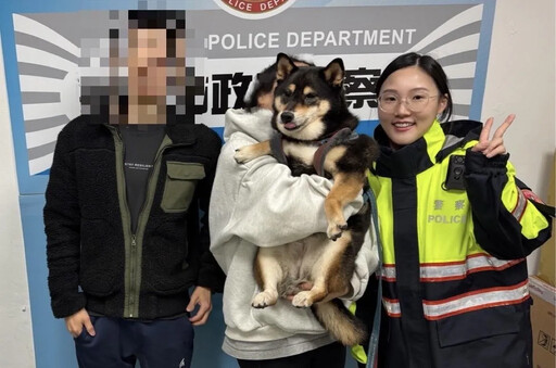 萌犬流浪記！黑柴走失逛大街 警掃晶片助助牠返家