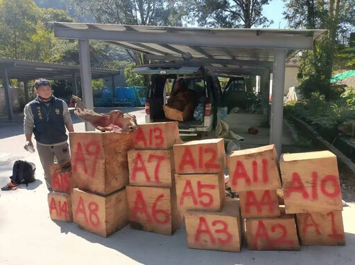 冷氣團裡抓到你！台中保七警忍低溫 林地活逮3隻山老鼠