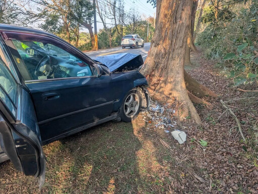 恐怖自撞路樹亡！轎車車頭「炸開全毀」 年節斷魂苗128線