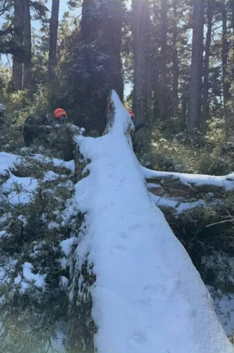 雪中搜救第4天！新竹大霸尖山53歲婦攻頂失聯 發現她背包