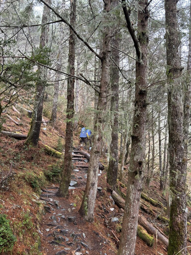 又傳登山意外！2山友約爬南二段 她「跟不上」失聯3天