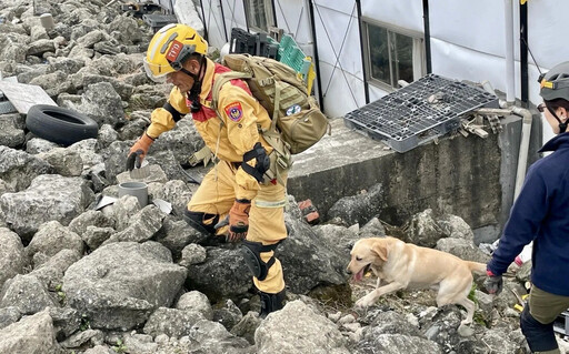 北市消防局搜救犬隊超棒 7萌犬全員通過IRO國際認證