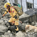 北市消防局搜救犬隊超棒 7萌犬全員通過IRO國際認證