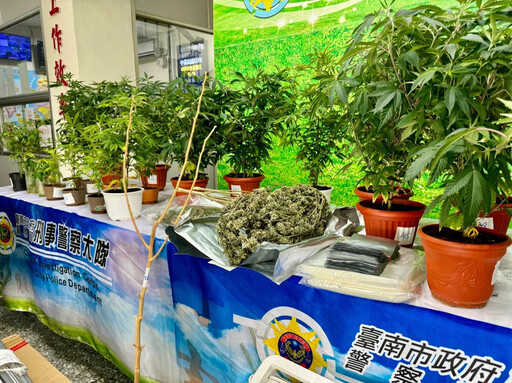 影/豪宅淪大麻農場！台南「假農民」自製近億元毒品 這下慘了