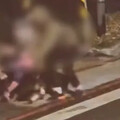 影/不止比特犬！北市羅威納「狂襲小黑」又咬人 恐怖畫面曝光