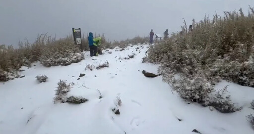 又爆山難！菲律賓登山客攀雪山「墜50米深谷」 幸運獲救