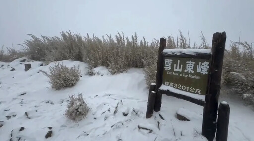 又爆山難！菲律賓登山客攀雪山「墜50米深谷」 幸運獲救