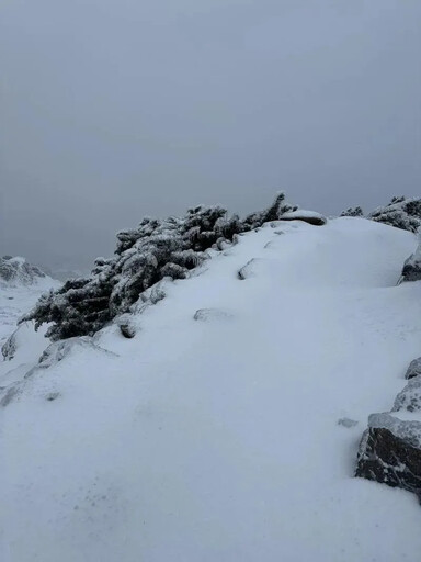 登玉山墜380尺山谷遭雪埋！救難隊23日設法救2登山客