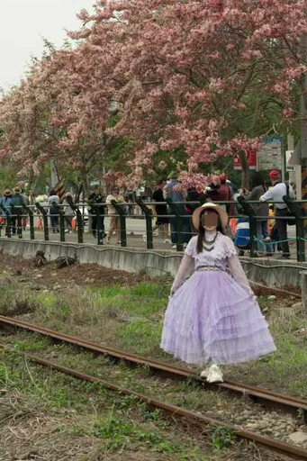 為拍美照!彰化二水「紫裙妹子」闖軌道 最重罰5萬
