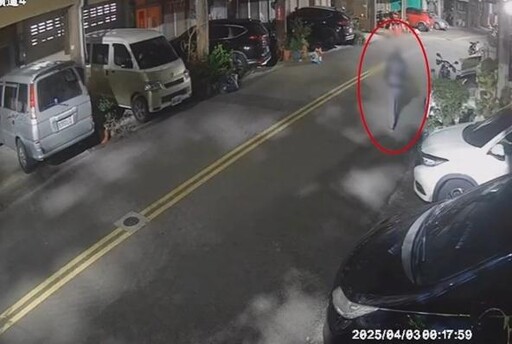 影/食髓知味？苗栗惡賊二度偷上萬鹿角蕨 屋主氣炸