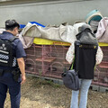 台南餐廳爆虐貓！餓死籠內慘變「3具白骨」 飼主遭送辦