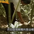 老Z調查線/婦殺夫卻「情堪憫恕」 藏屍處雙石詭異歸位