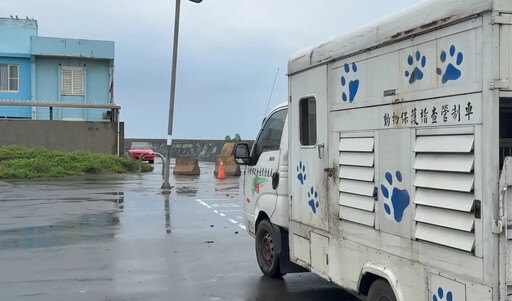 新竹南寮又傳野狗咬人 一家人賞夕陽慘遭10隻浪浪圍攻