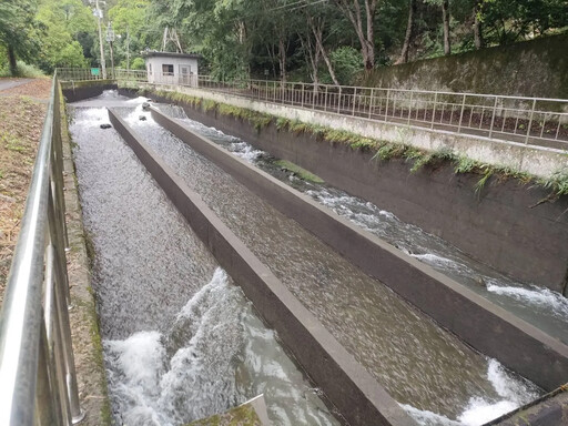 台中白毛山白冷圳取水口驚見「腫脹男浮屍」 身分確認中