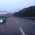 影/清晨國道轎車內側車道逆向 駕駛險撞上傻眼驚呼