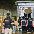 大麻10年暴增56倍！調查局銷毀逾2000公斤毒品