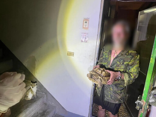 影/桃園偷象龜賊「廢墟宅」曝光!63歲翁思妻曾養164隻兔