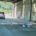 基隆7旬婦買菜未走斑馬線！返家途中遭汽機車撞死