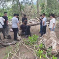 影/殺害花蓮女師！喑啞男疑畏罪輕生遭逮 曾把阿嬤打到住院