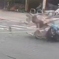 影/慎入！北市賓士高速撞雙載機車 男嚴重骨折、女擦挫傷