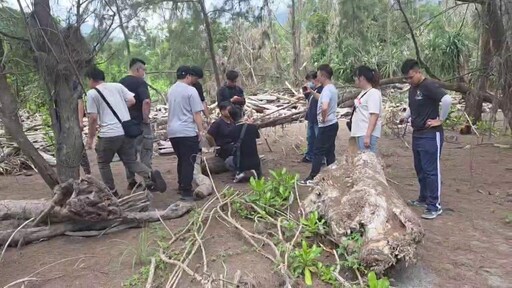 勒斃花蓮女師兇手防風林「正午落網」 樹枝斷裂被警活逮
