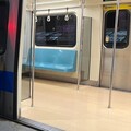 北捷又出包！「菜寮站→迴龍」老鼠大鬧車廂 旅客驚慌奔逃