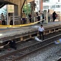 疑暈眩不慎落軌！70歲退休消防員遭自強號撞擊亡